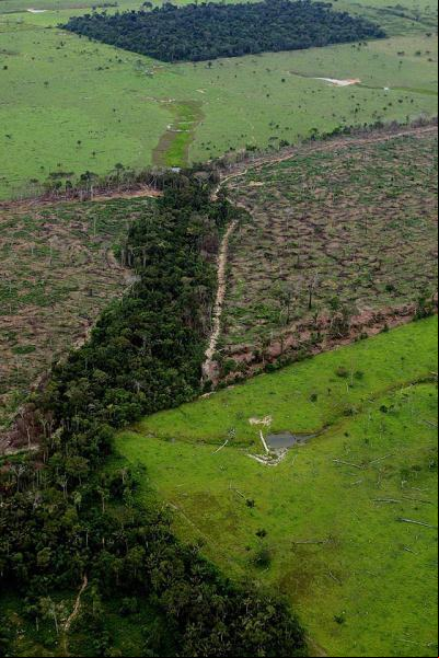 ocupação da Amazônia
