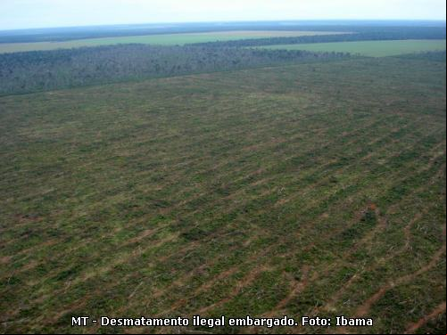 desmatamento na Amazônia
