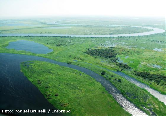 Pantanal