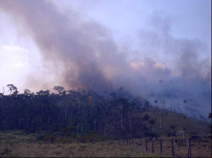 queimada
