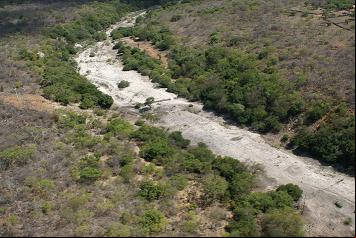 Foto do Rio Salitre morto após um dos 35 barramentos.